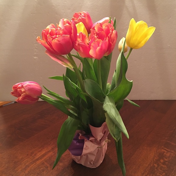 Meet your Posher, Katrin - Picture 15 of 16